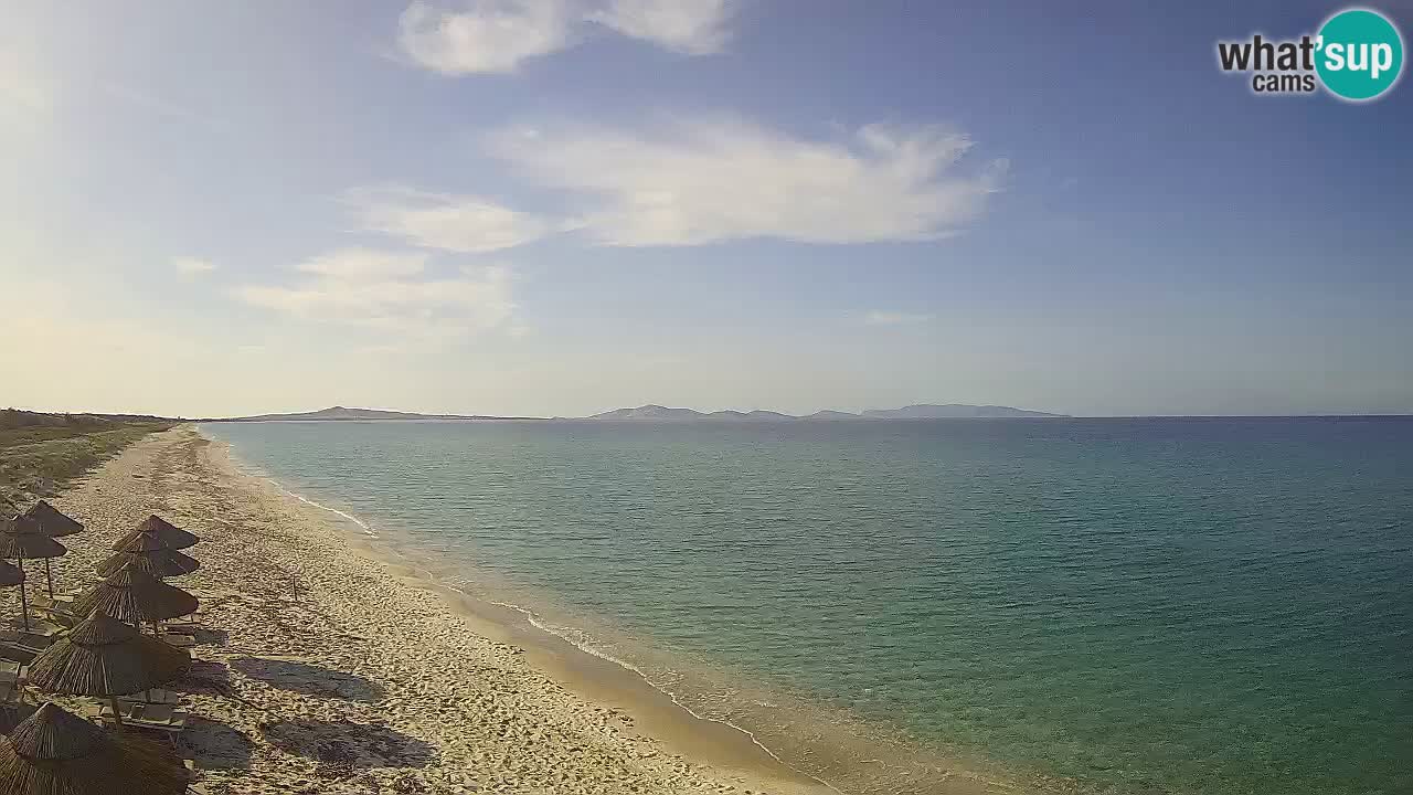 Plaža Le Saline web kamera Stintino – Sardinija