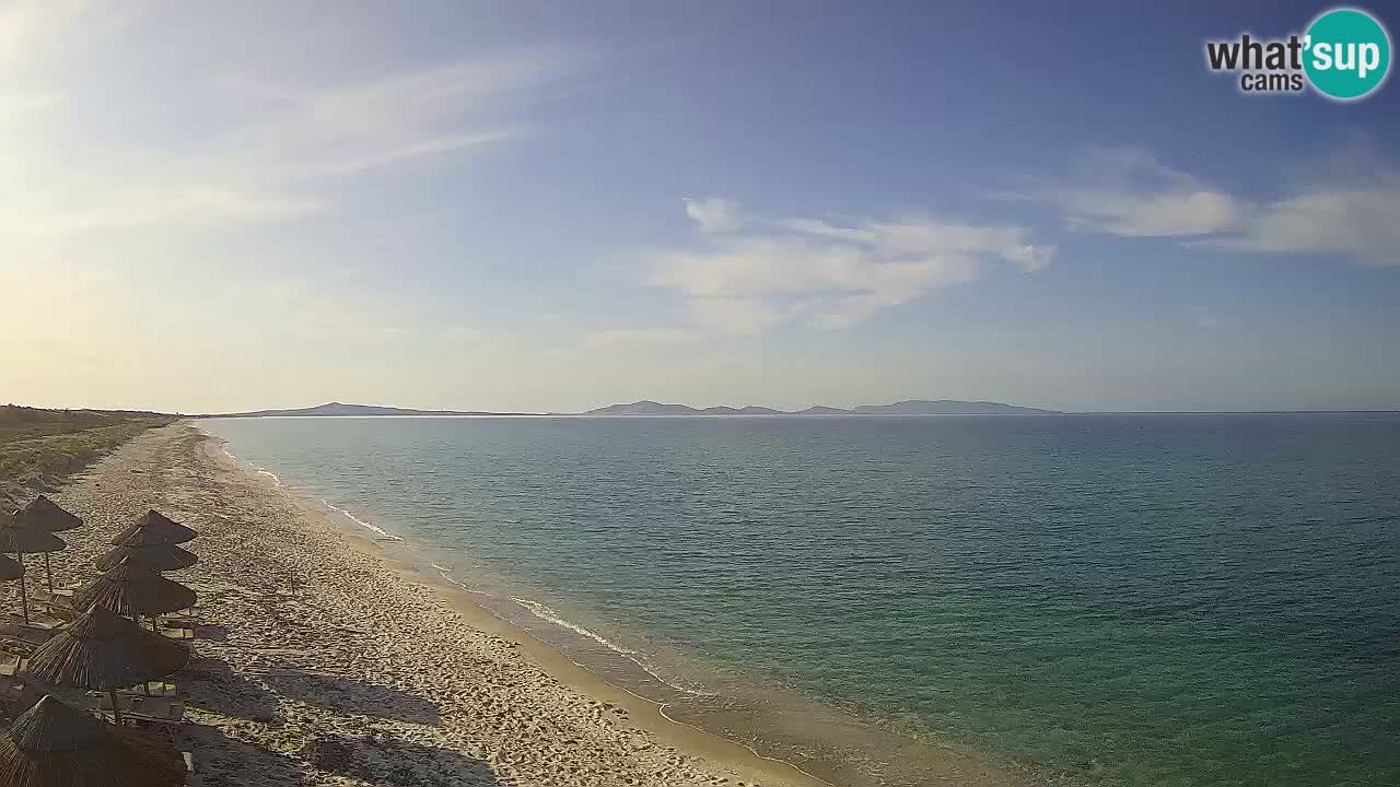 Strand Le Saline webcam Stintino – Sardinien