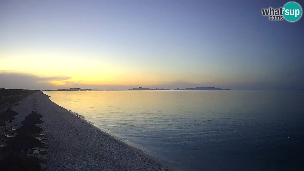 Beach Le Saline webcam live Stintino – Sardinia