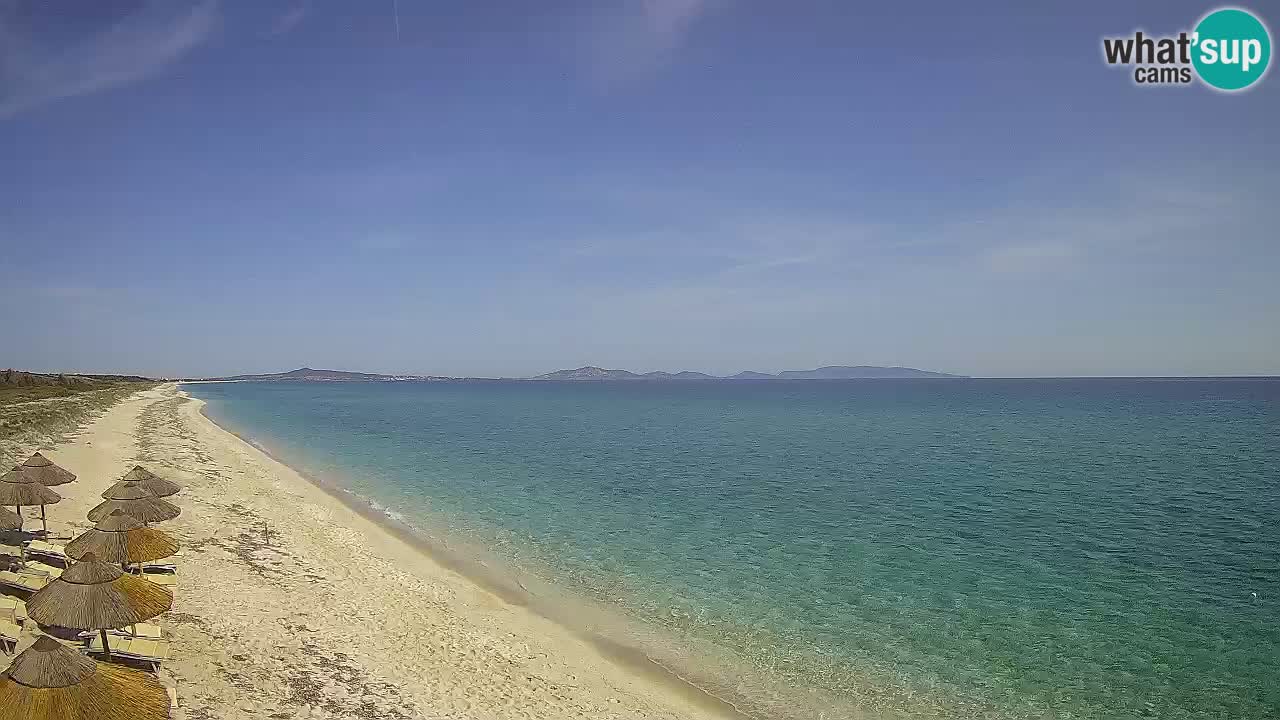 Beach Le Saline webcam live Stintino – Sardinia