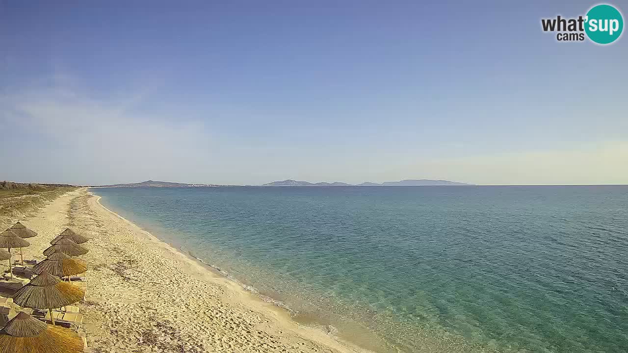 Plage Le Saline Live cam Stintino – Sardaigne