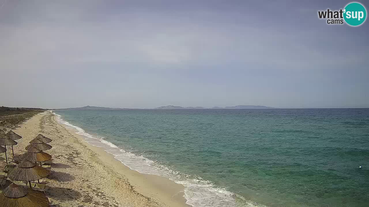 Plaža Le Saline spletna kamera Stintino – Sardinija
