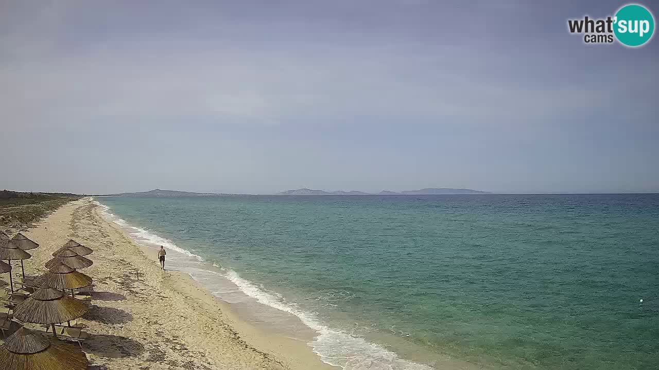 Playa Le Saline camera en vivo Stintino – Cerdeña