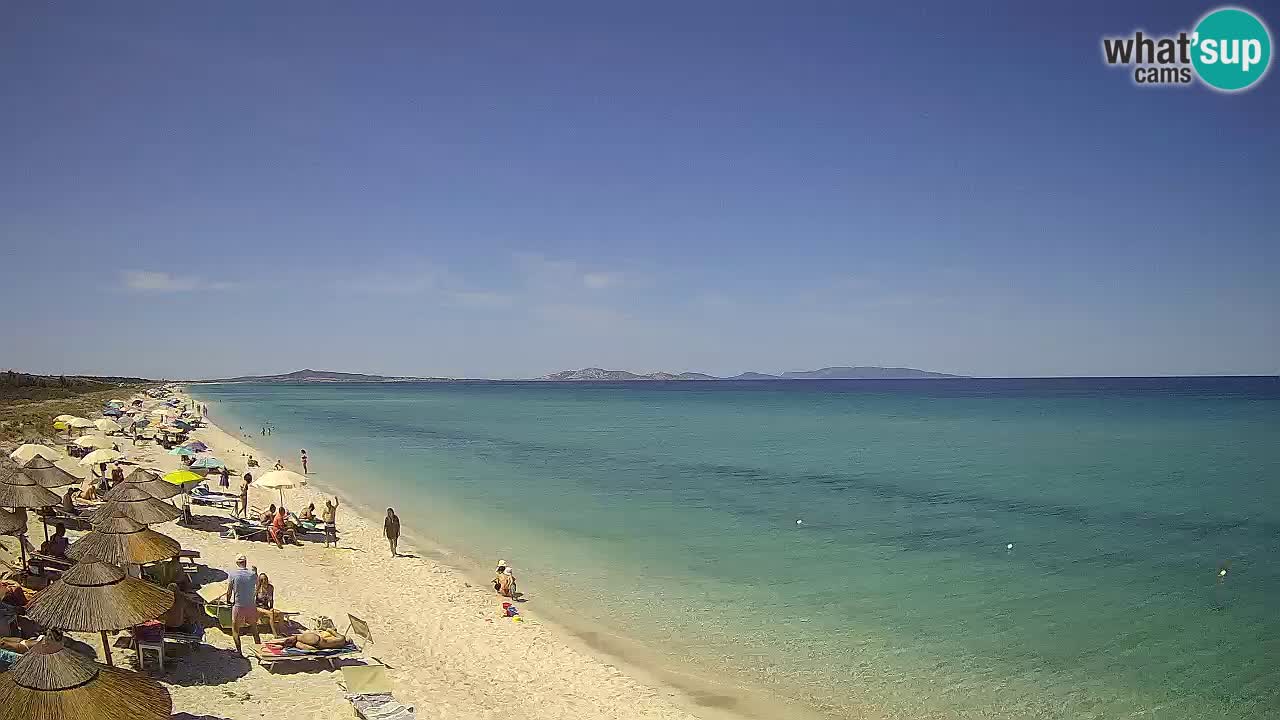 Beach Le Saline webcam live Stintino – Sardinia