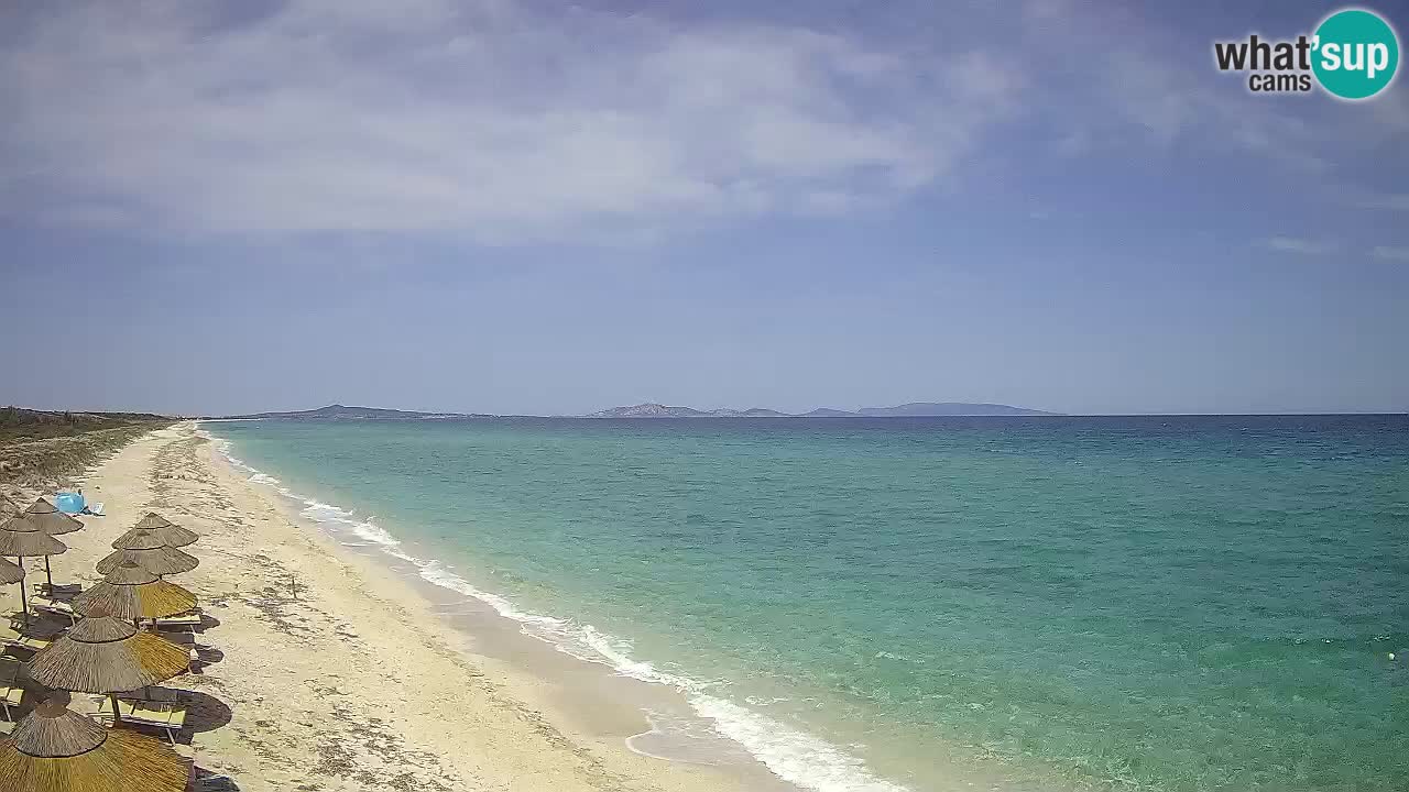 Plaža Le Saline web kamera Stintino – Sardinija
