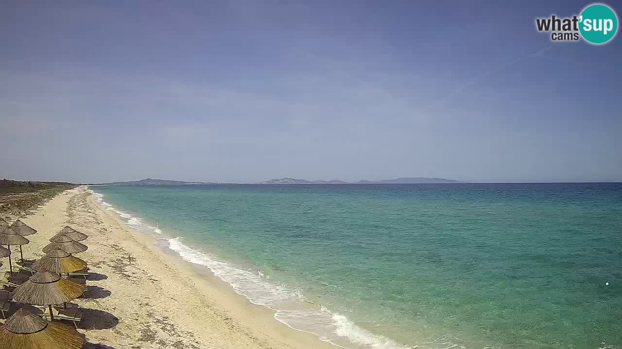 Spiaggia Le Saline webcam Stintino – Sardegna