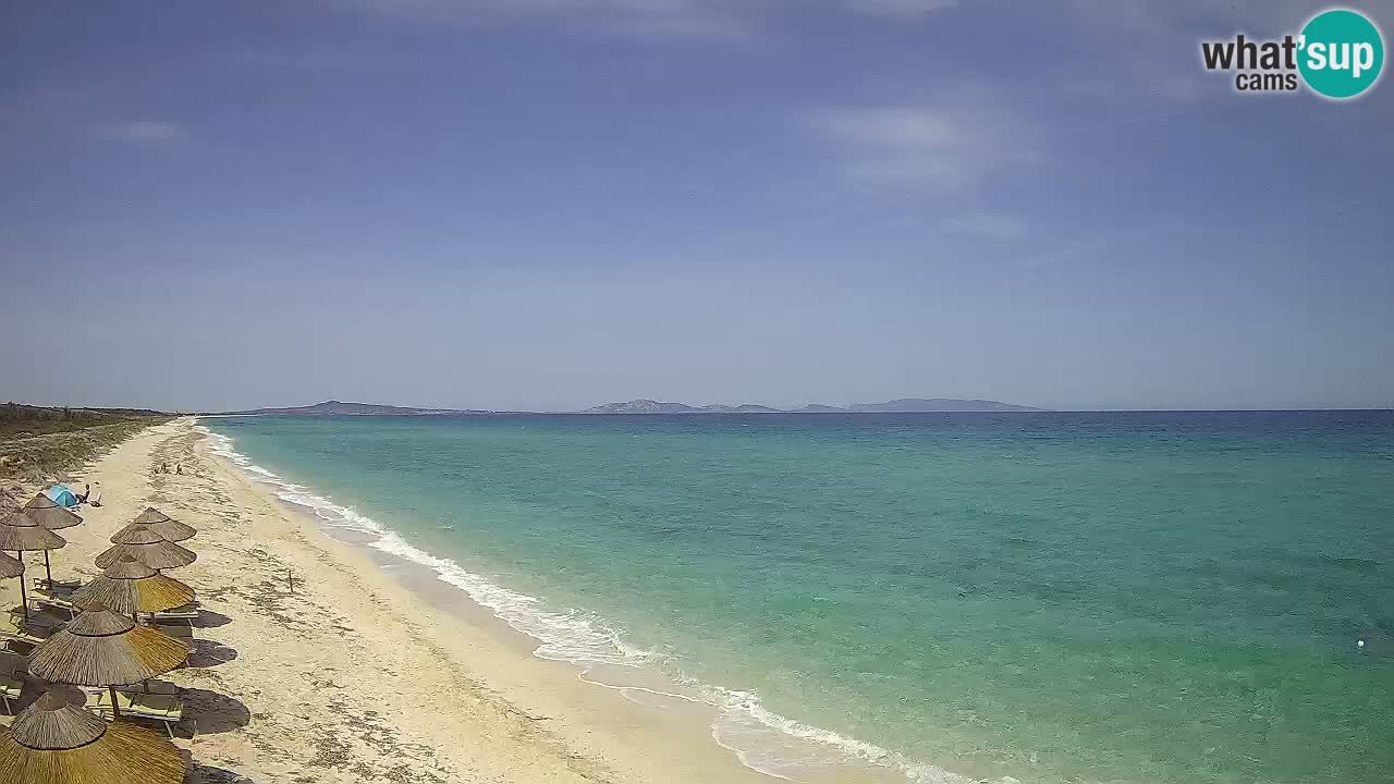 Playa Le Saline camera en vivo Stintino – Cerdeña