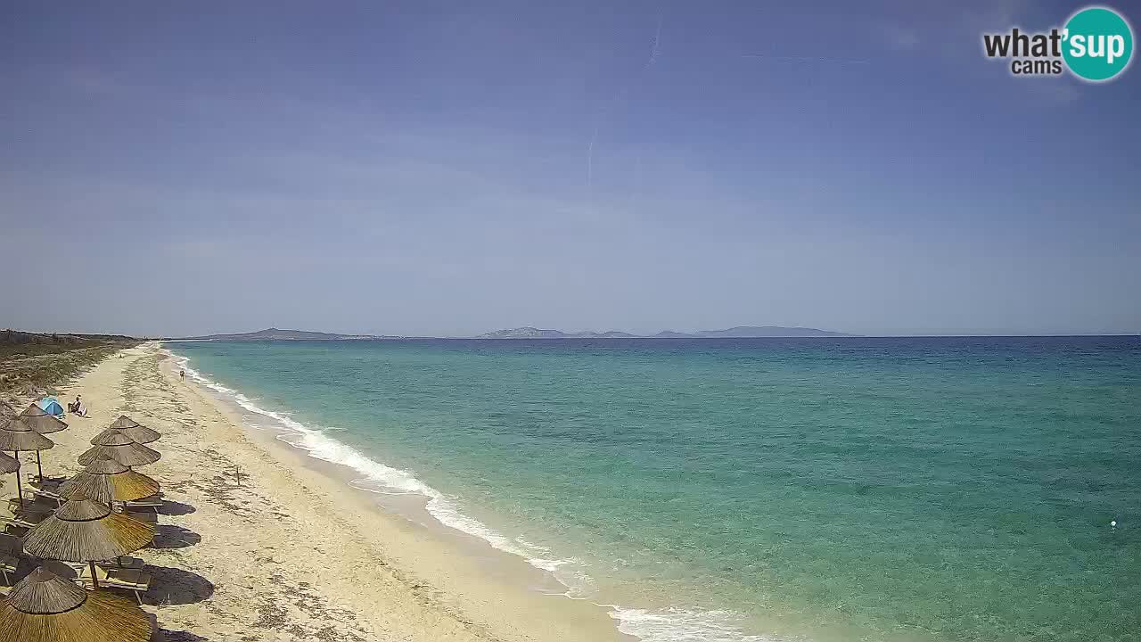 Plaža Le Saline web kamera Stintino – Sardinija
