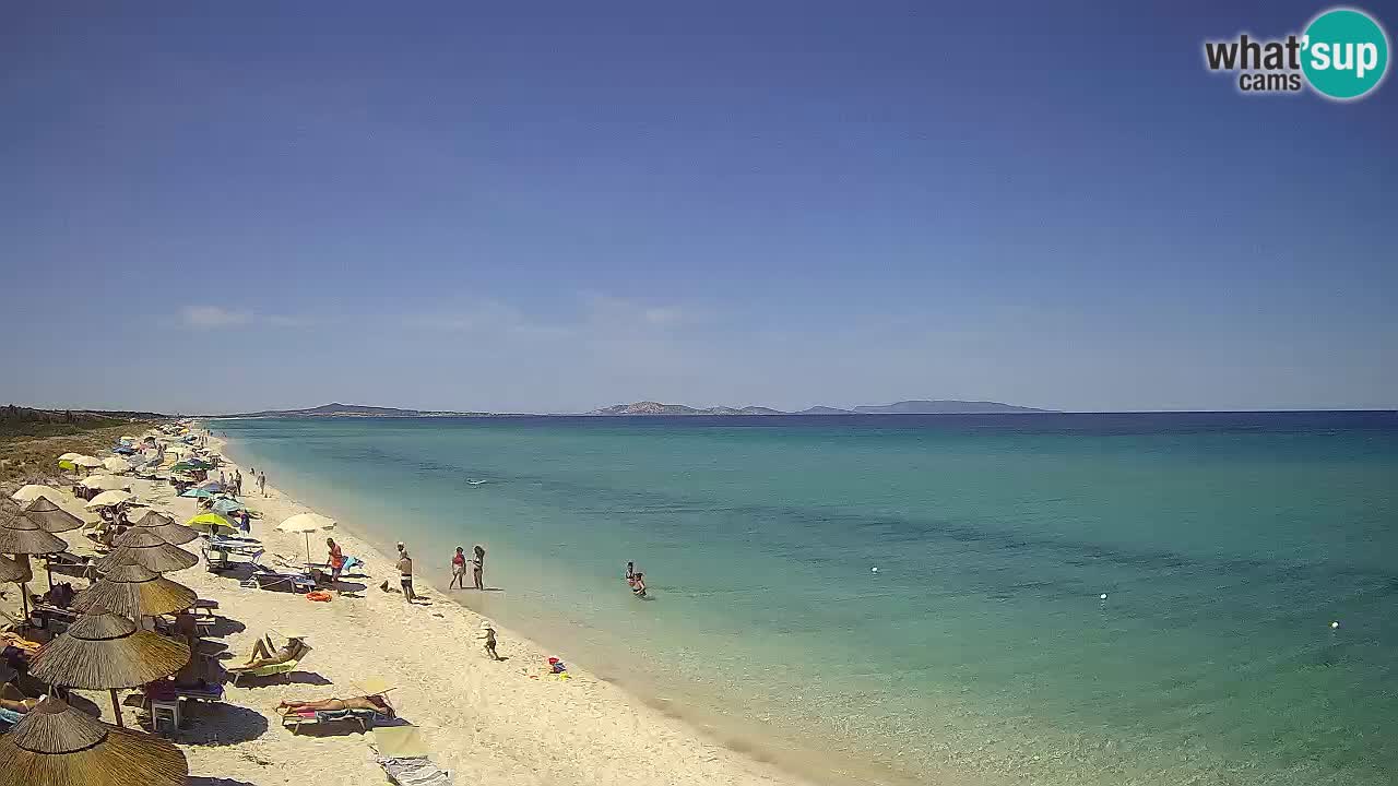Plage Le Saline Live cam Stintino – Sardaigne