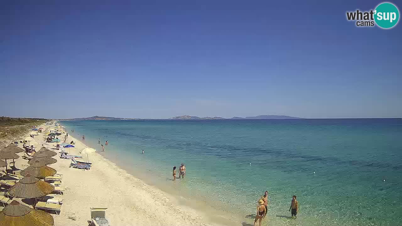 Plaža Le Saline web kamera Stintino – Sardinija