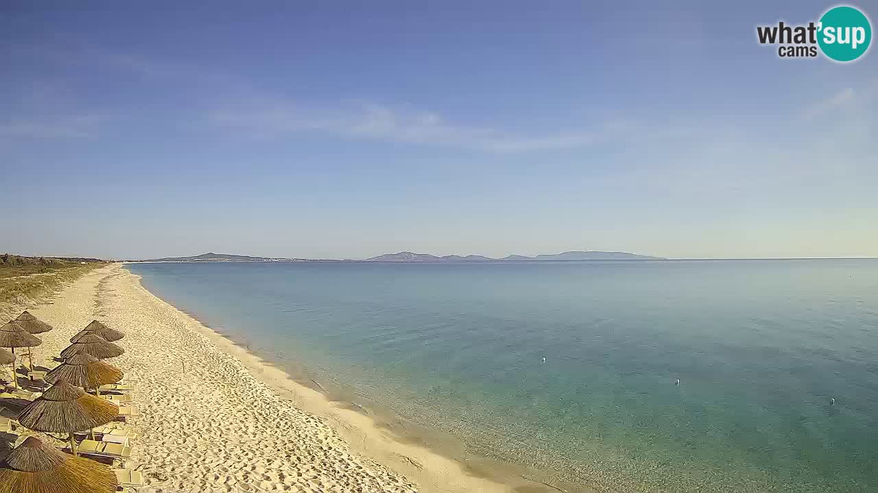 Strand Le Saline webcam Stintino – Sardinien
