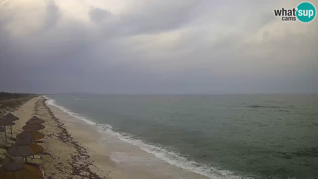Playa Le Saline camera en vivo Stintino – Cerdeña