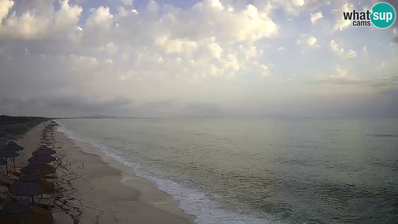 Playa Le Saline camera en vivo Stintino – Cerdeña