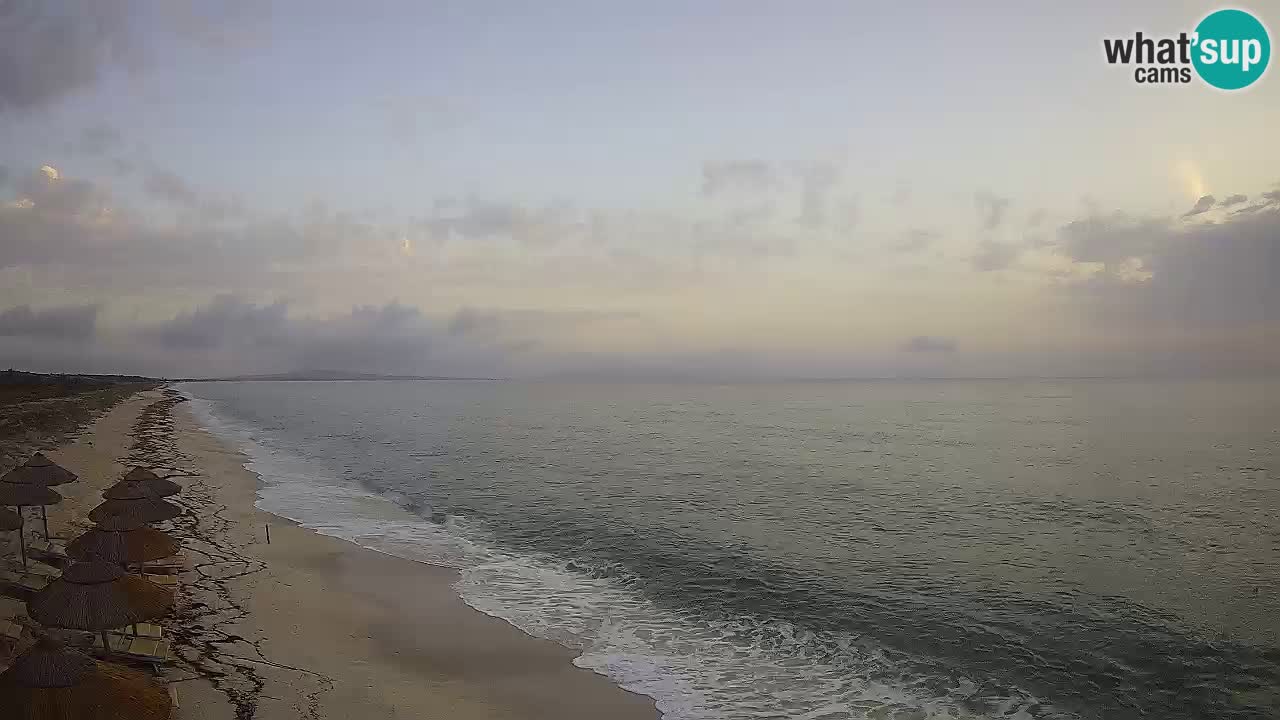 Plage Le Saline Live cam Stintino – Sardaigne
