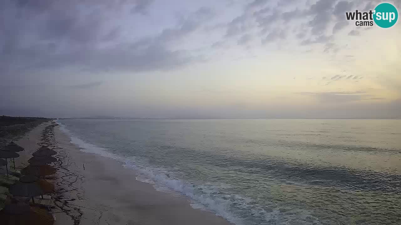 Plage Le Saline Live cam Stintino – Sardaigne