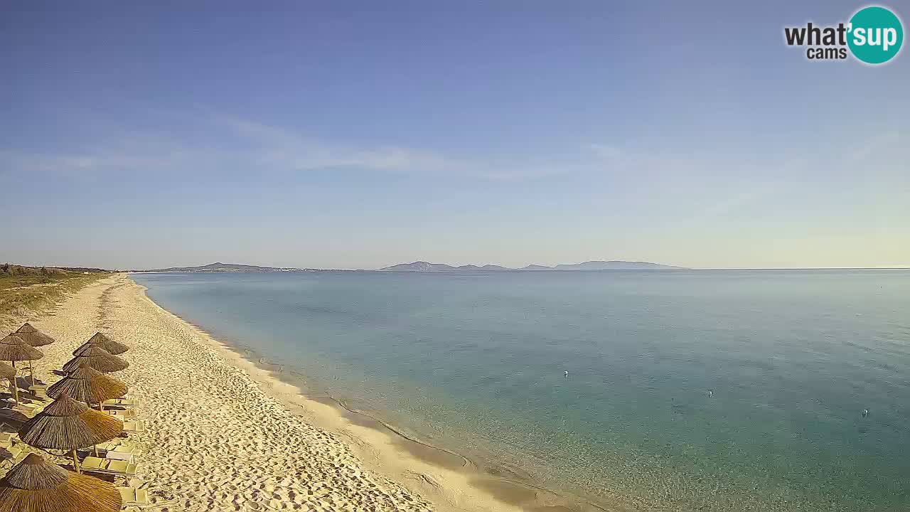 Beach Le Saline webcam live Stintino – Sardinia