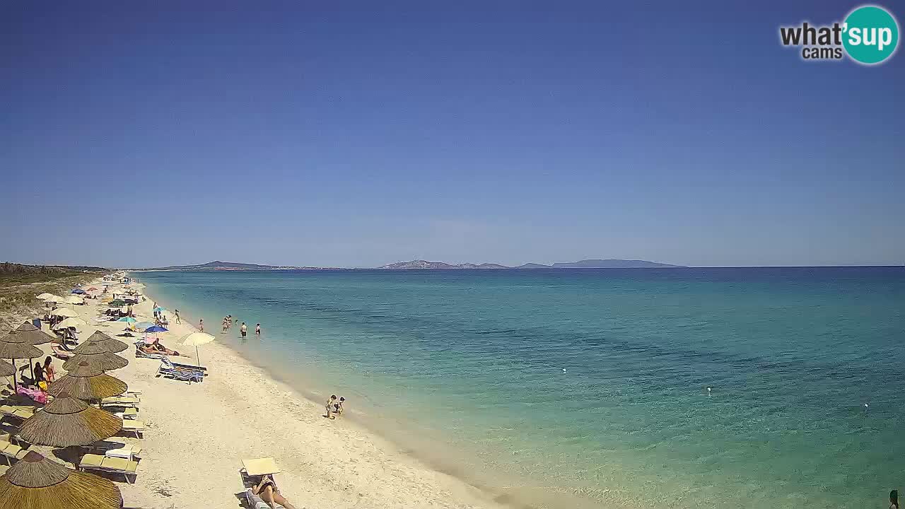 Beach Le Saline webcam live Stintino – Sardinia
