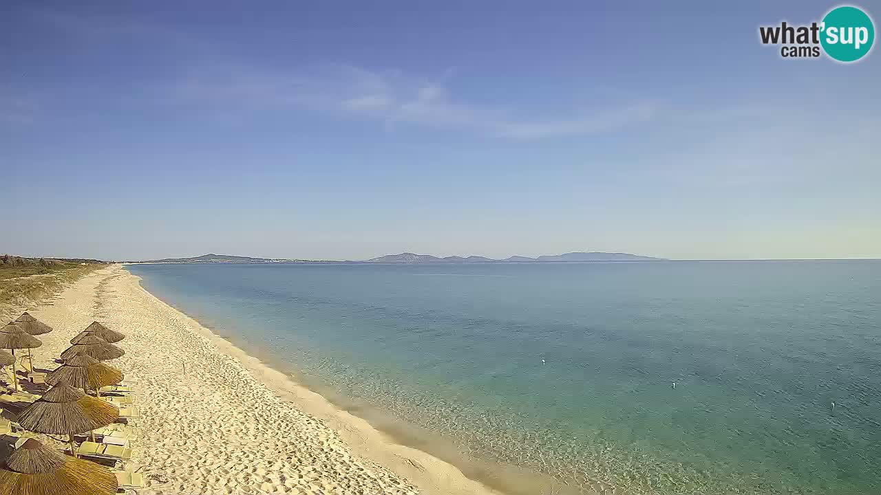 Playa Le Saline camera en vivo Stintino – Cerdeña