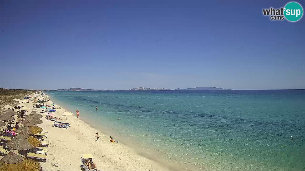 Beach Le Saline webcam live Stintino – Sardinia