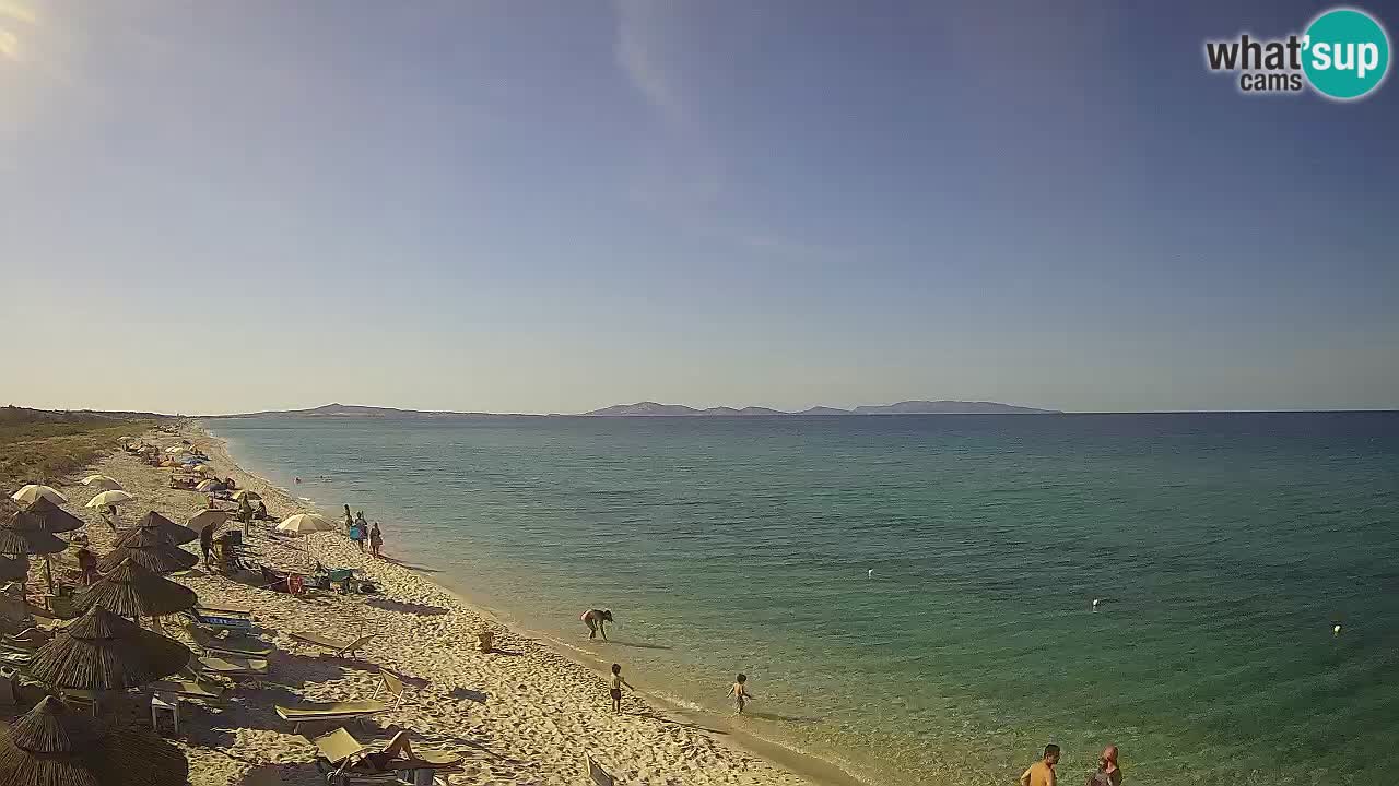 Beach Le Saline webcam live Stintino – Sardinia