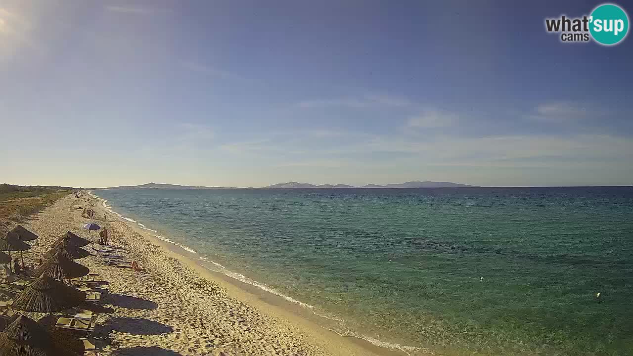Beach Le Saline webcam live Stintino – Sardinia