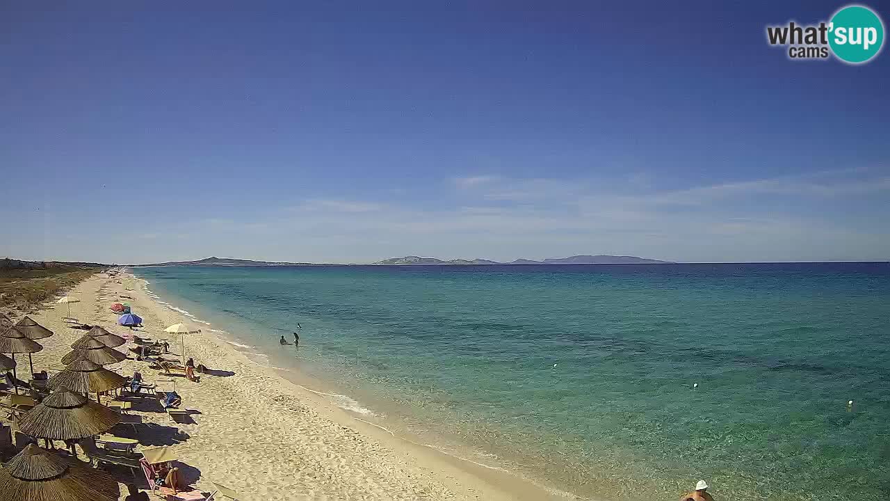 Beach Le Saline webcam live Stintino – Sardinia