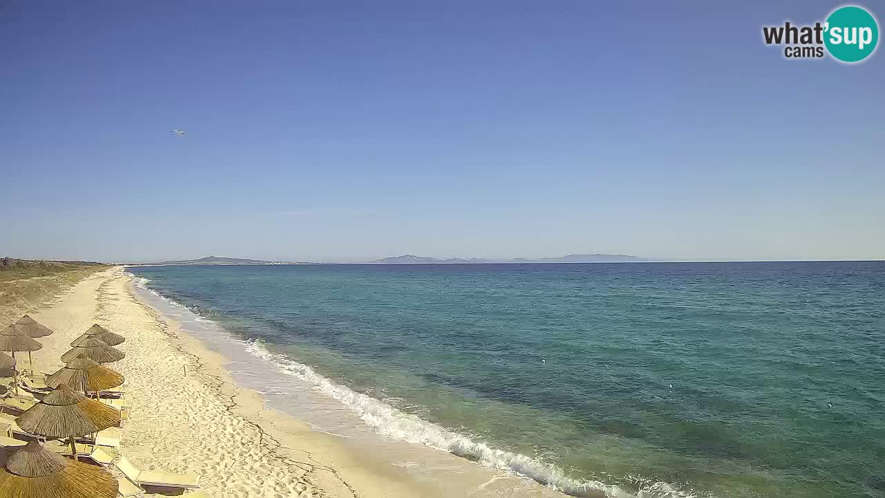 Beach Le Saline webcam live Stintino – Sardinia