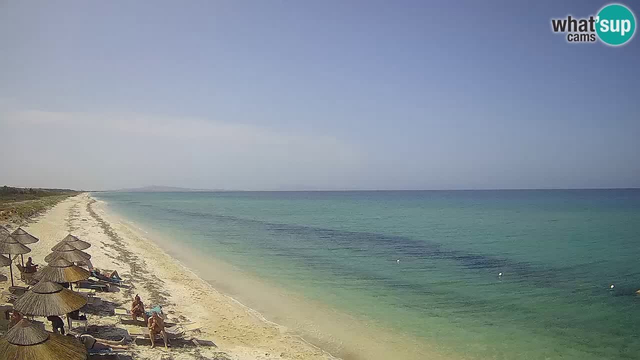 Beach Le Saline webcam live Stintino – Sardinia