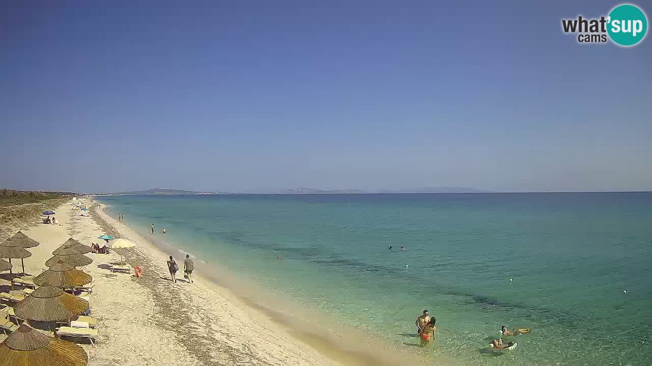Strand Le Saline webcam Stintino – Sardinien