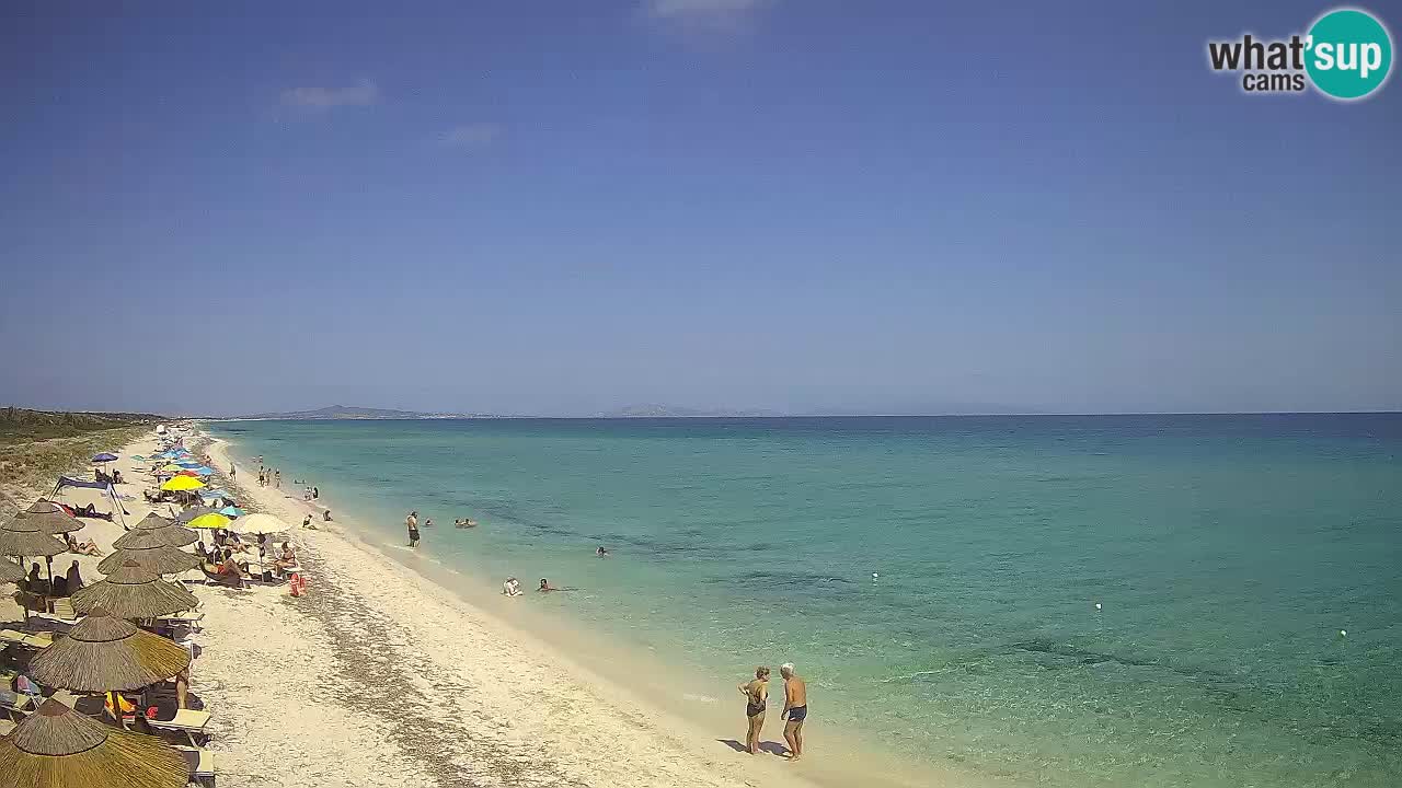 Spiaggia Le Saline webcam Stintino – Sardegna