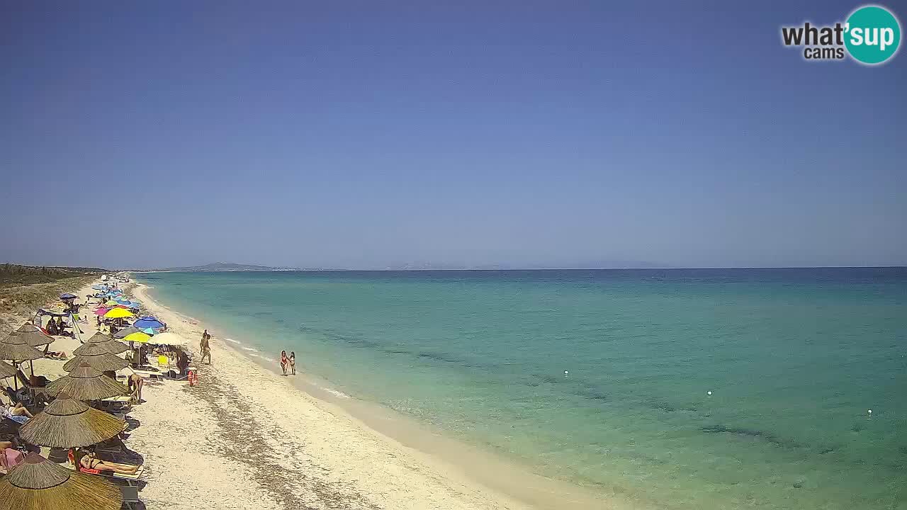 Strand Le Saline webcam Stintino – Sardinien