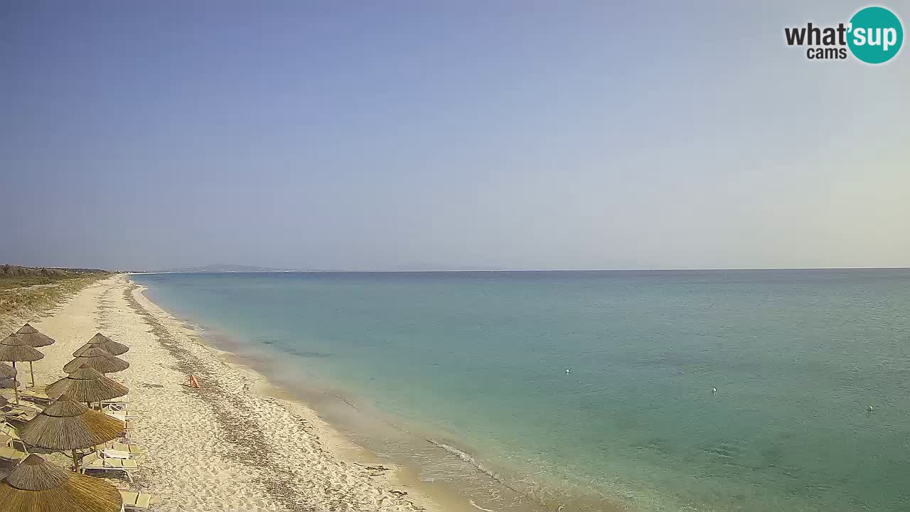 Plaža Le Saline spletna kamera Stintino – Sardinija
