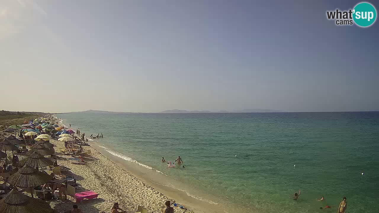 Beach Le Saline webcam live Stintino – Sardinia