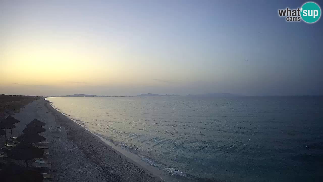 Beach Le Saline webcam live Stintino – Sardinia