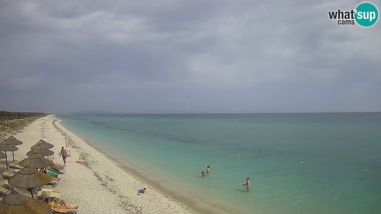 Beach Le Saline webcam live Stintino – Sardinia