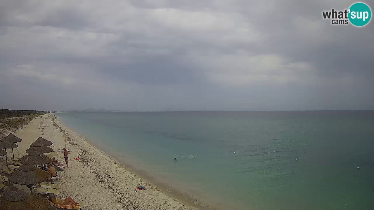 Spiaggia Le Saline webcam Stintino – Sardegna