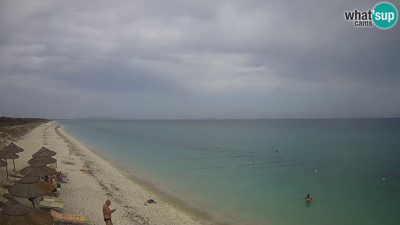 Beach Le Saline webcam live Stintino – Sardinia