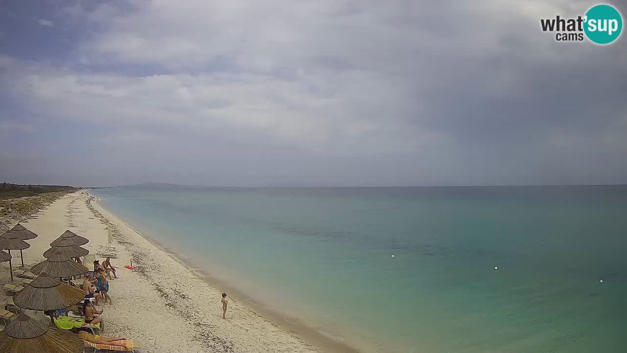 Plaža Le Saline spletna kamera Stintino – Sardinija