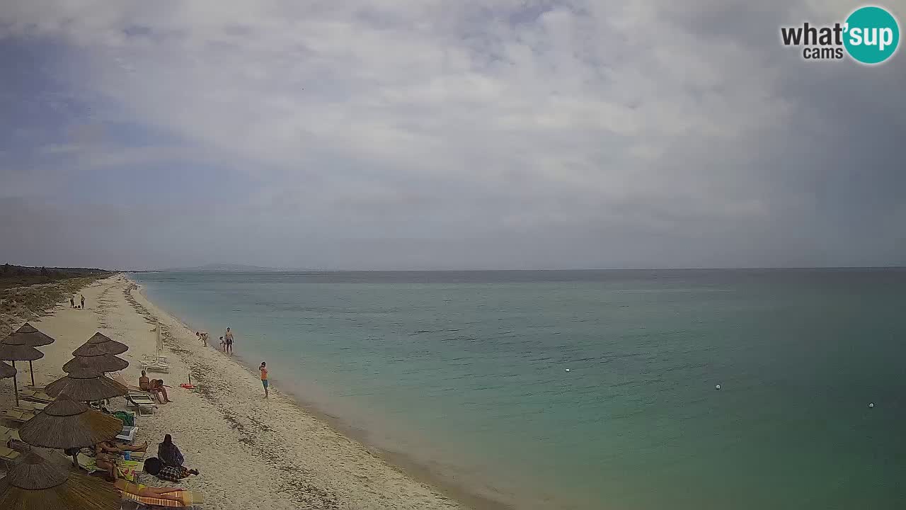 Plaža Le Saline spletna kamera Stintino – Sardinija
