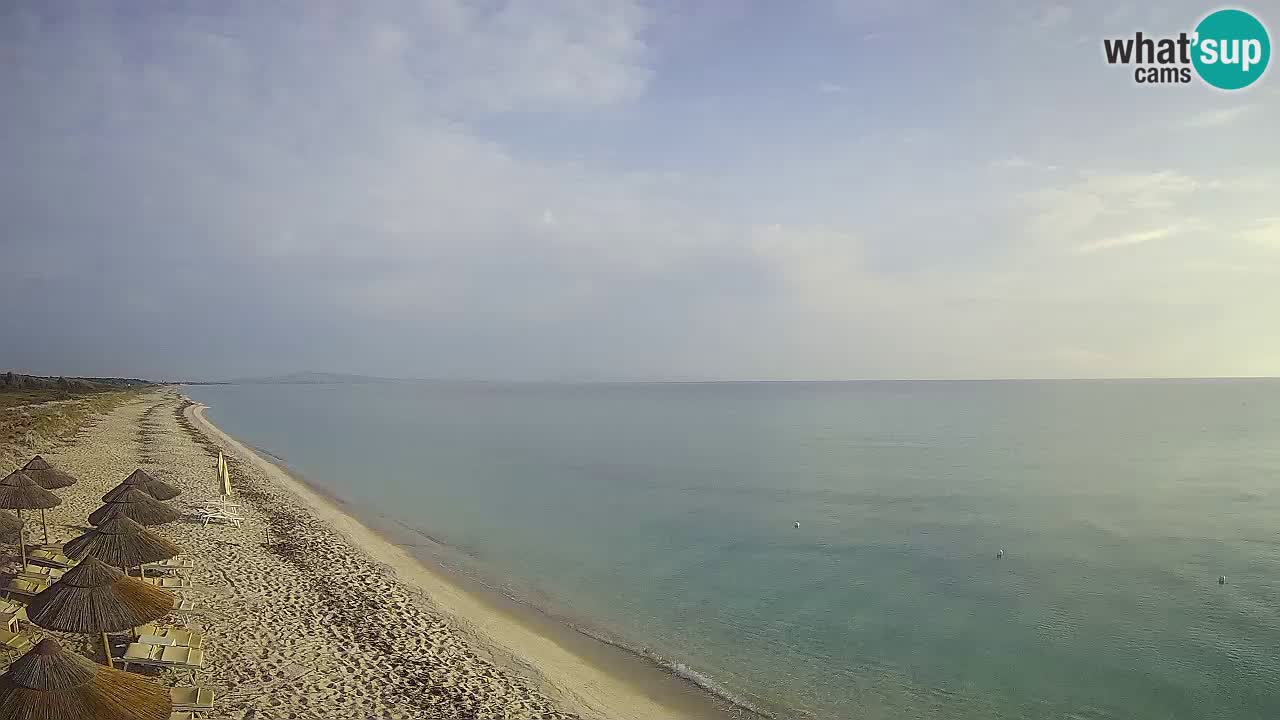 Plaža Le Saline spletna kamera Stintino – Sardinija