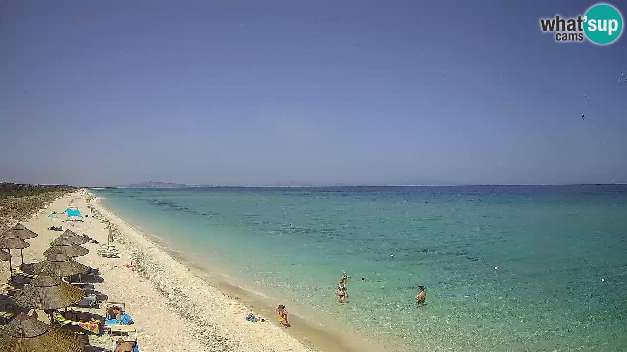 Strand Le Saline webcam Stintino – Sardinien
