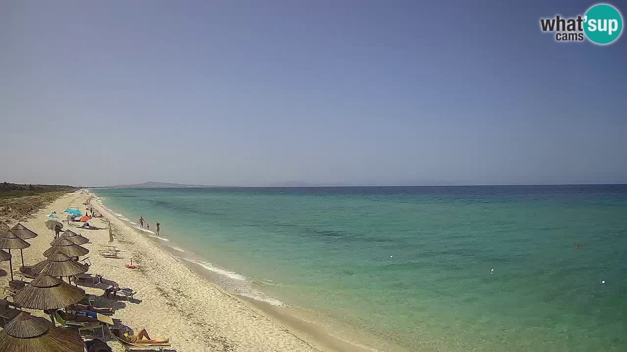 Strand Le Saline webcam Stintino – Sardinien