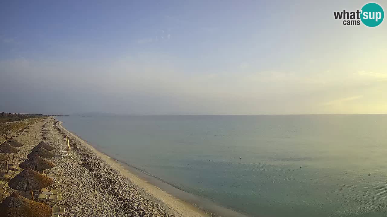 Plage Le Saline Live cam Stintino – Sardaigne