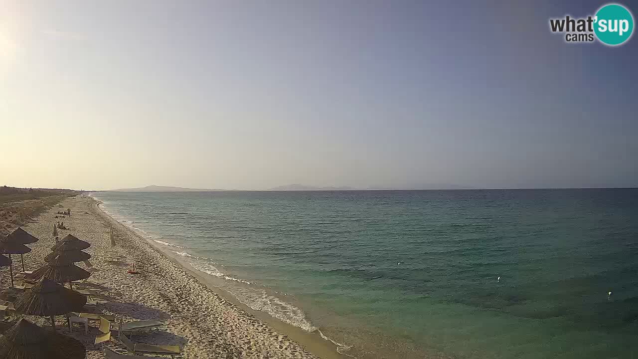 Plaža Le Saline spletna kamera Stintino – Sardinija
