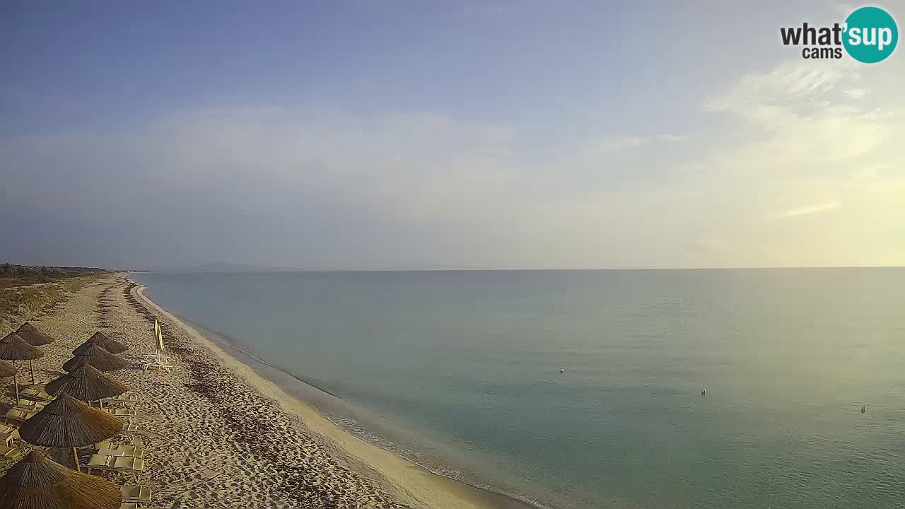 Plaža Le Saline spletna kamera Stintino – Sardinija