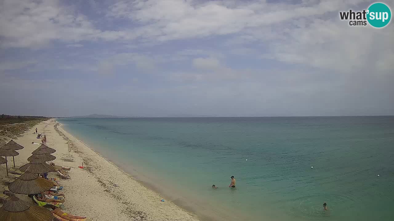 Playa Le Saline camera en vivo Stintino – Cerdeña