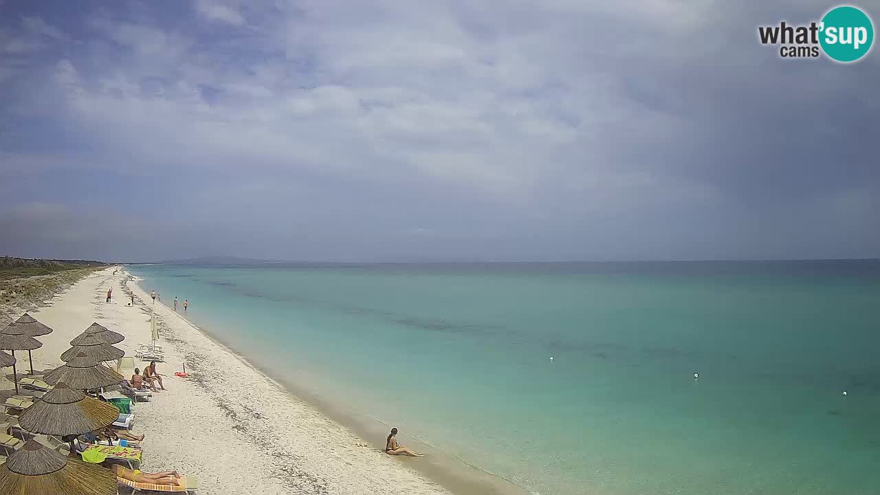 Plaža Le Saline web kamera Stintino – Sardinija