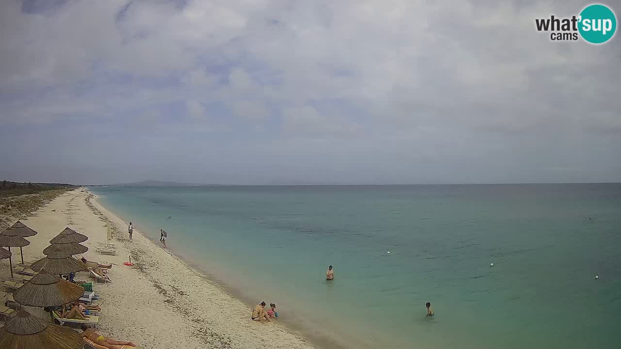 Plage Le Saline Live cam Stintino – Sardaigne