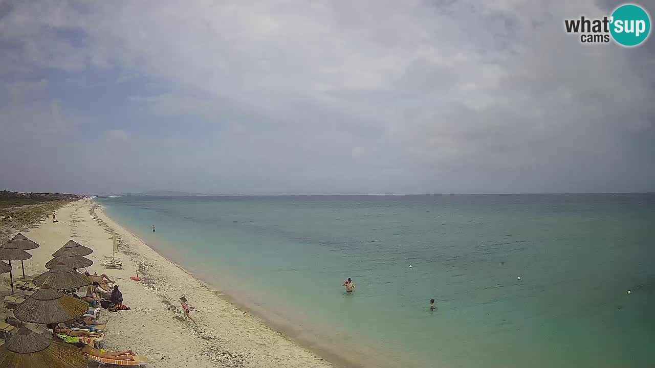 Strand Le Saline webcam Stintino – Sardinien