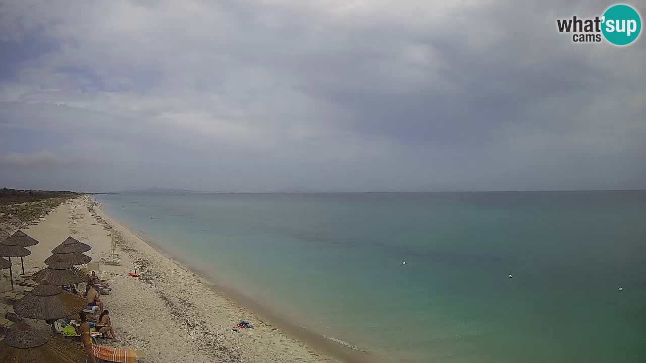 Spiaggia Le Saline webcam Stintino – Sardegna